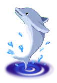a dolphin leaping over a rippling pool
